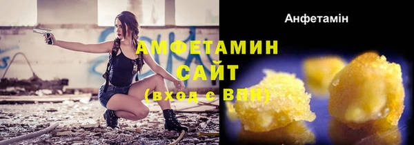 крисы Кулебаки