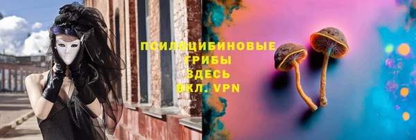 крисы Кулебаки