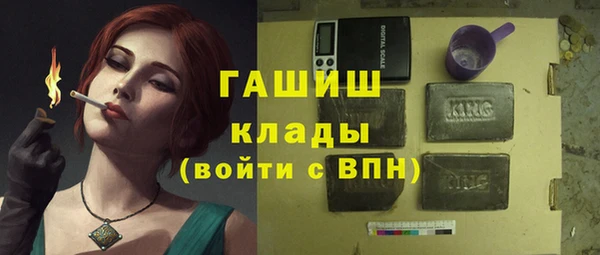 крисы Кулебаки
