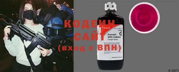 крисы Кулебаки