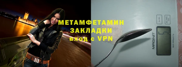крисы Кулебаки