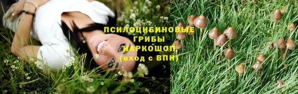 крисы Кулебаки