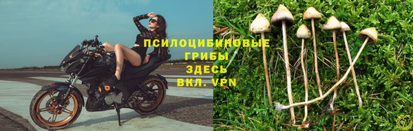 стафф Куйбышев
