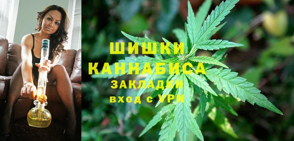 крисы Кулебаки
