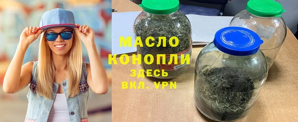 крисы Кулебаки