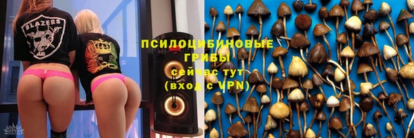 стафф Куйбышев