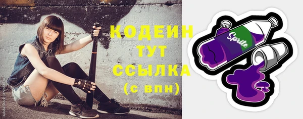 крисы Кулебаки