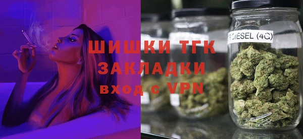 крисы Кулебаки