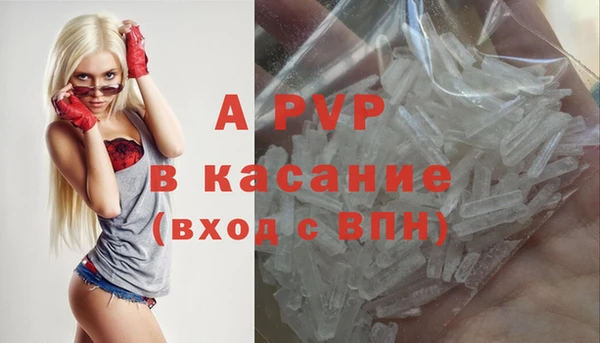 стафф Куйбышев