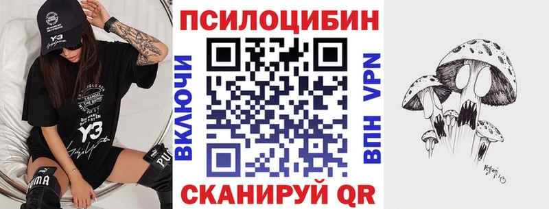 Псилоцибиновые грибы мицелий  Купить закладки  Междуреченск 